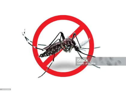 Trattamento adulticida contro le zanzare Trattamento adulticida contro le zanzare